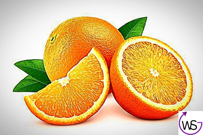 essay on my favourite fruit orange