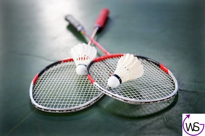 Essay On My Favourite Game Badminton 200 Words In English