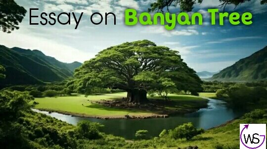 Essay On Banyan Tree