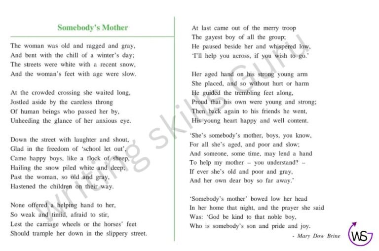 somebody's mother poem