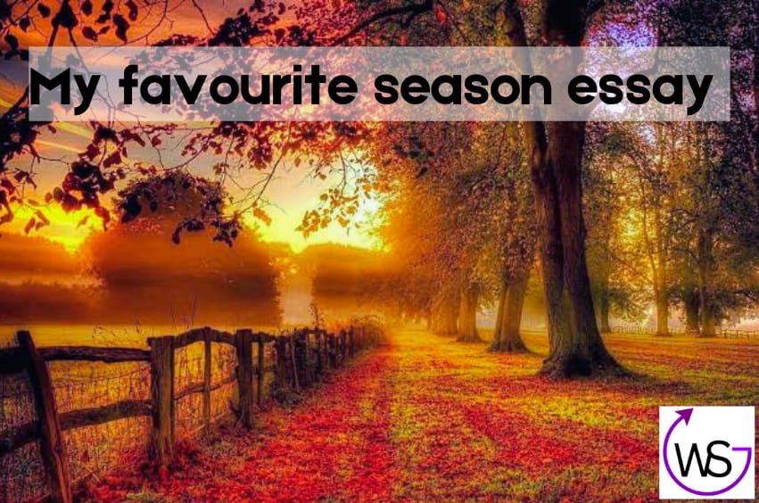 My Favourite Season Essay